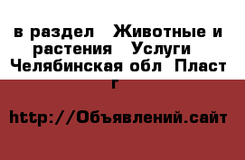  в раздел : Животные и растения » Услуги . Челябинская обл.,Пласт г.